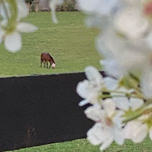 Meet your Posher, Isabel